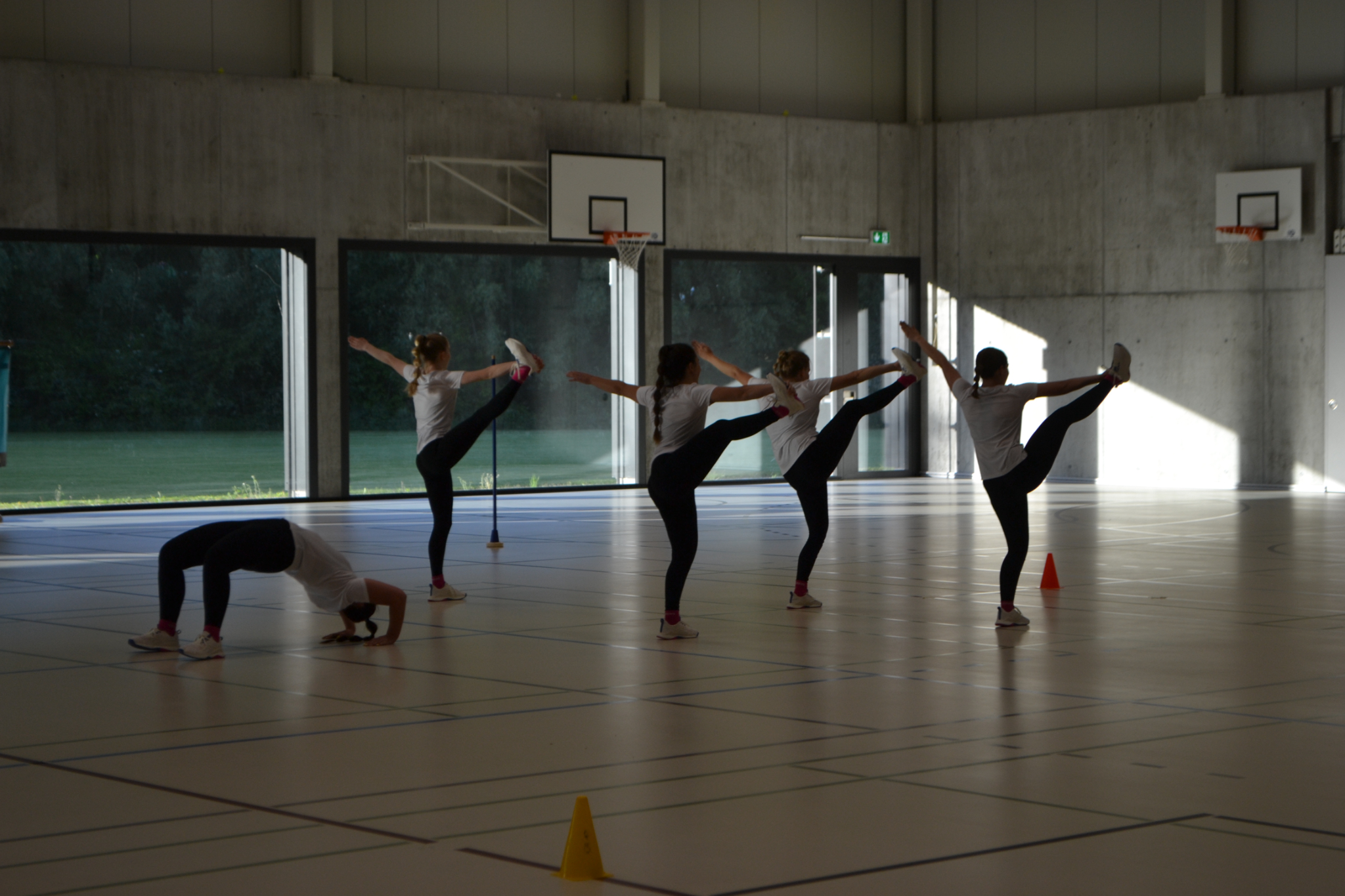 Showturnen (126)